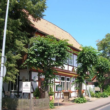 Apartment Brauner Hirsch Celle Bagian luar foto