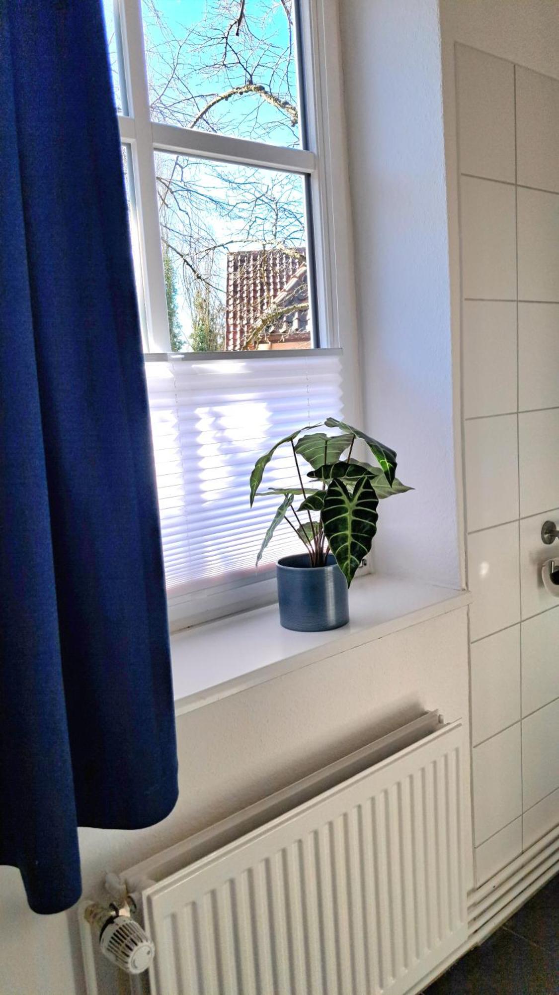Apartment Brauner Hirsch Celle Bagian luar foto